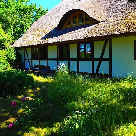 Eulenhof Vorpommern Rossin Dış mekan fotoğraf